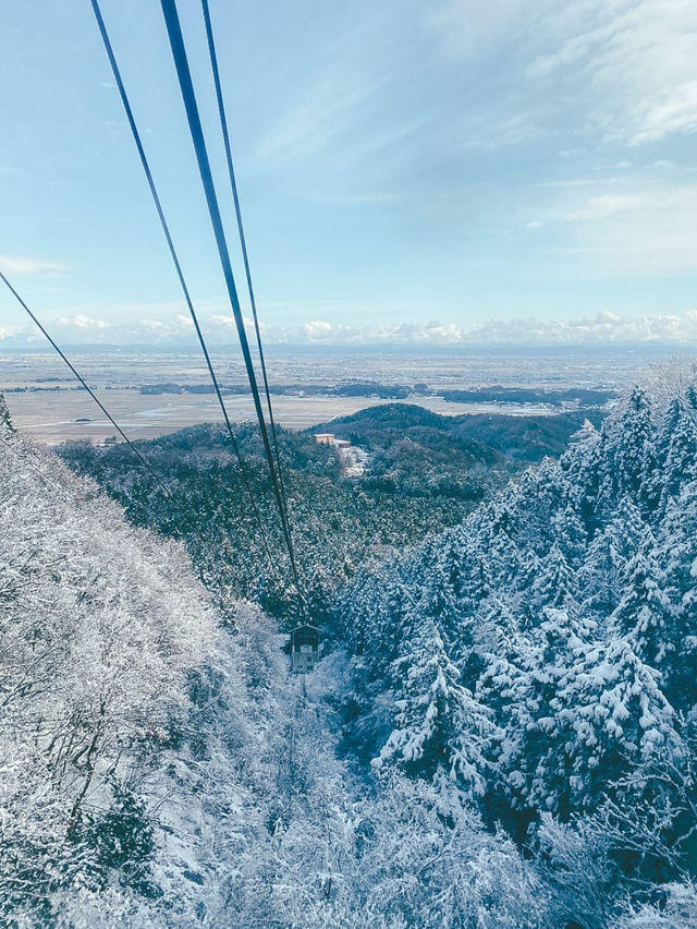 🚡空と海をつなぐ絶景旅「弥彦山ロープウェイ」で五感が満たされるひととき
