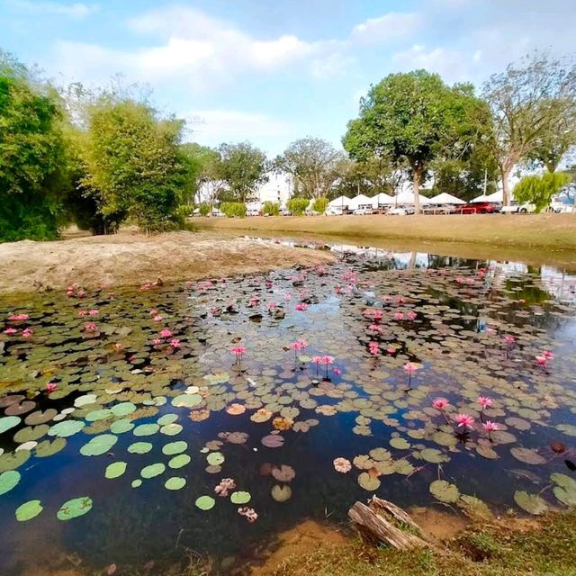 Taman Gelora (Kuantan, Pahang)