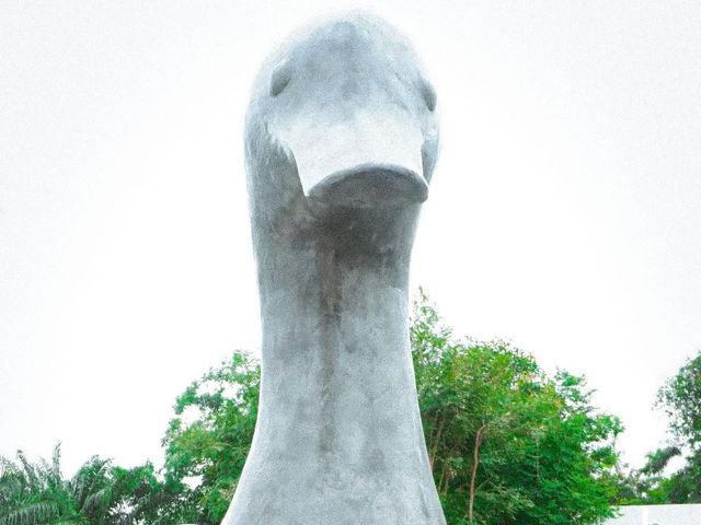 D’Duck คาเฟ่ สุราษฎร์ 