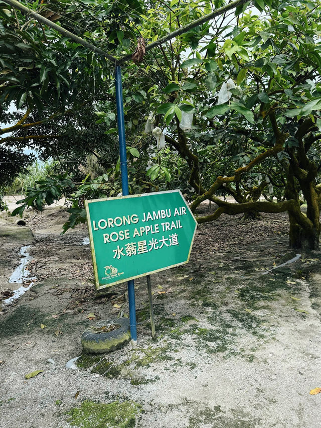 Desaru Fruit Farm