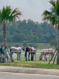 Just Horsin’ Around… at Equestrian Park Putrajaya