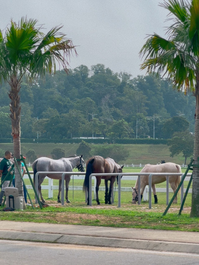 Just Horsin’ Around… at Equestrian Park Putrajaya
