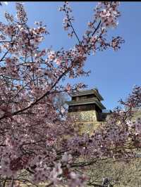 🏯長野・上田城｜真田氏ゆかりの歴史を感じる城跡