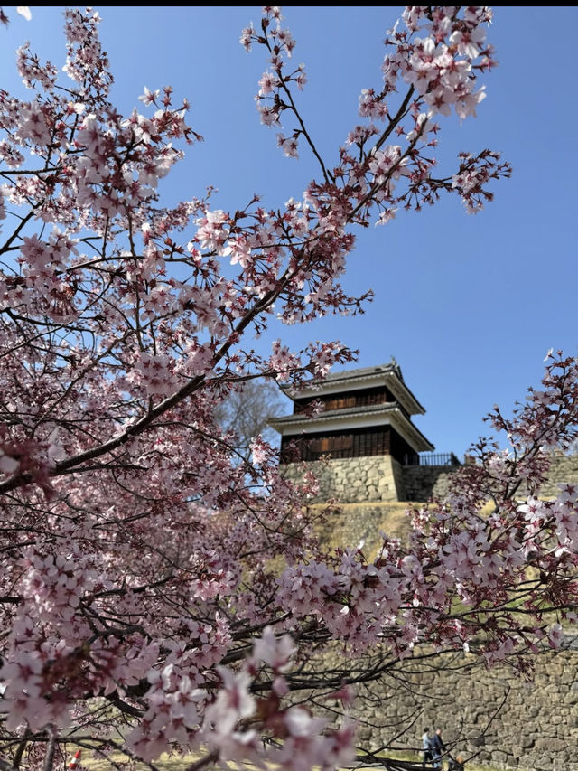 🏯長野・上田城｜真田氏ゆかりの歴史を感じる城跡