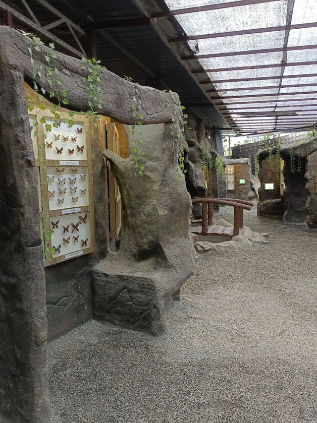 Happy Bee Farm & Insect World, A Buzzing Blend of Nature and Discovery