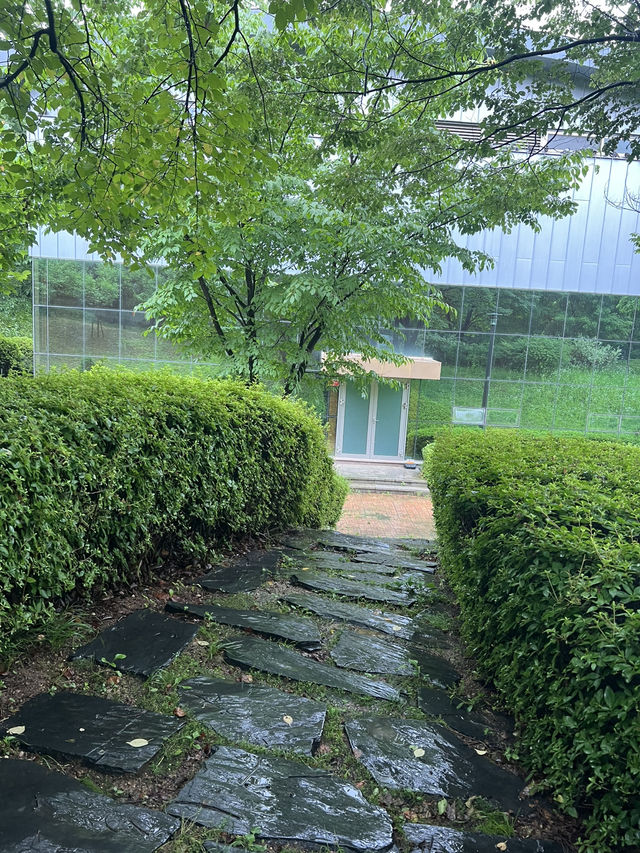 일자산 숲길여행