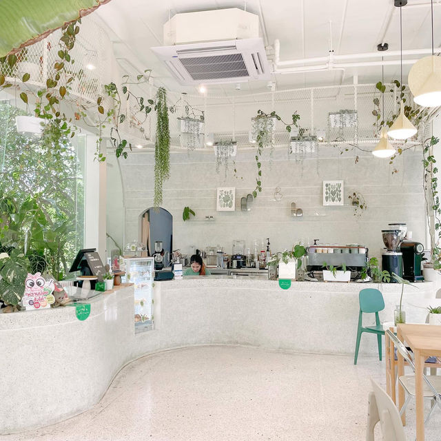 🌿☕ Comfee Krabi คาเฟ่ลับในสวน