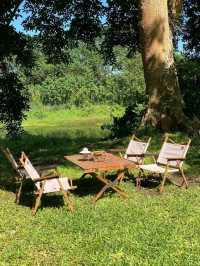 Favor Field Cafe