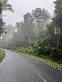 เที่ยววันเดย์ทริปที่อุทยานแห่งชาติเขาใหญ่2025