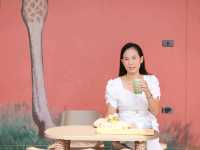 SAFARI Matcha Bar Khaoyai 