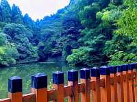 เมืองโอซาก้า🇯🇵