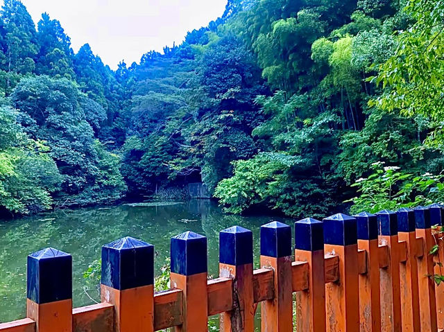 เมืองโอซาก้า🇯🇵