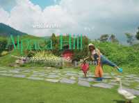 Alpaca Hill อ. สวนผึ้ง จ. ราชบุรี