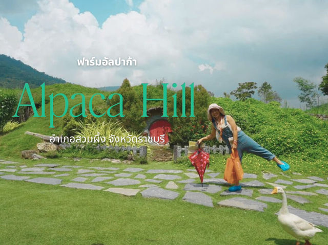 Alpaca Hill อ. สวนผึ้ง จ. ราชบุรี