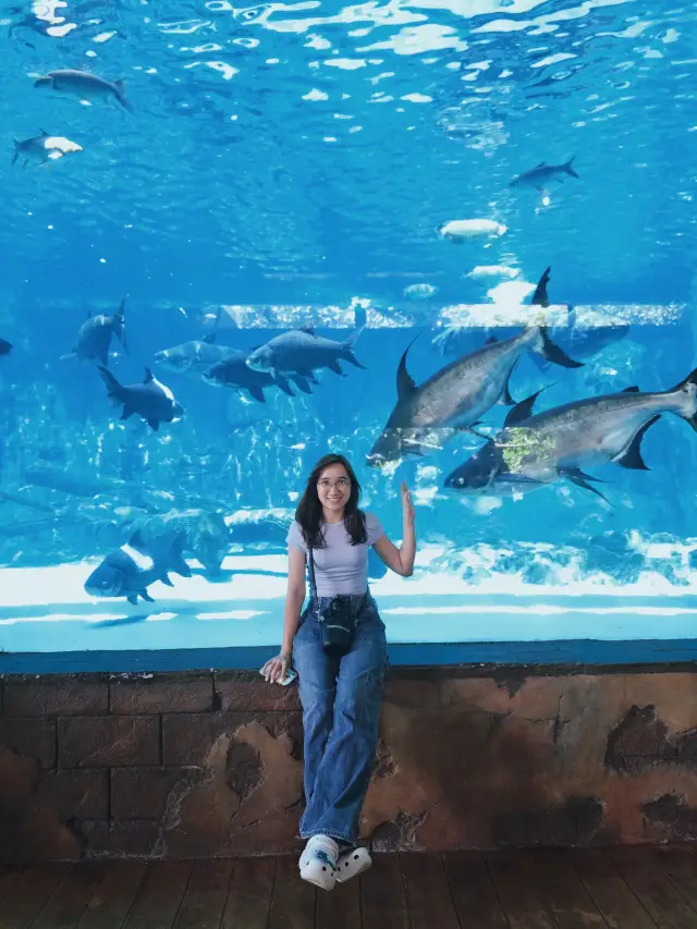 Weekend Chill at River Wonders 🐼🌿