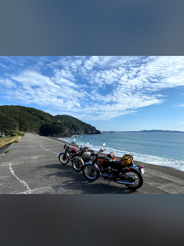 【波音とヤシの木に癒される🌺南張海浜公園で南国気分の休日】