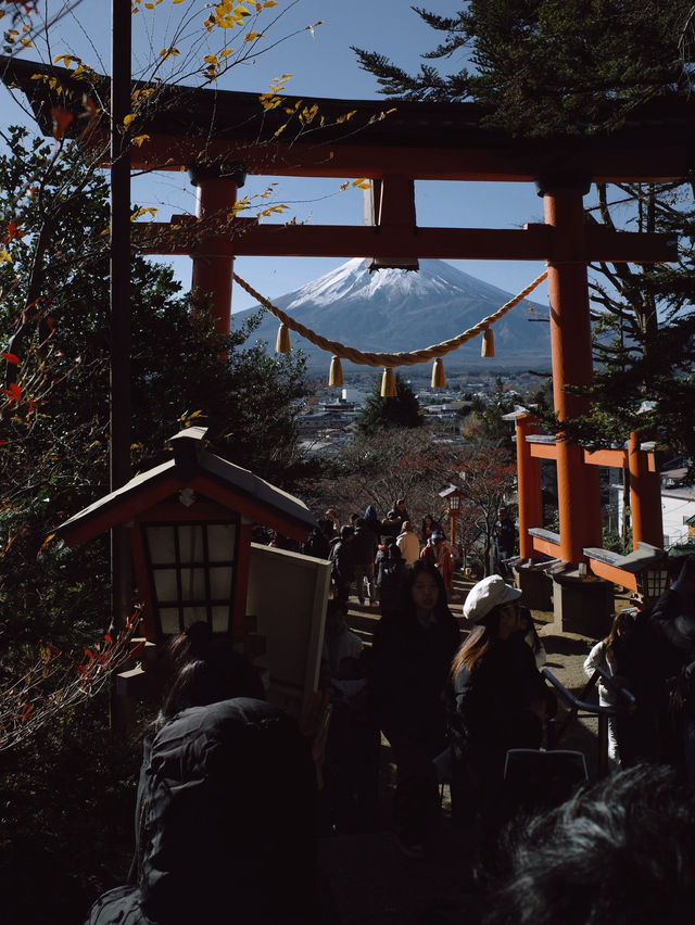 Chureito Pagoda x Mt. Fuji
