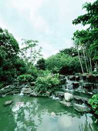 Discover Tranquility at Kingfisher’s Wetland Wildlife Lookout in Singapore