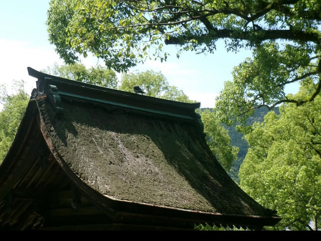 【学問の神様に願いを込めて✨】太宰府天満宮で心清らかな旅を