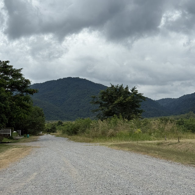 แคมป์ปิ้งเขาใหญ่⛰️