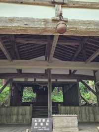 森林裡老神社記憶〔立保神社〕的重生與守護⛩️