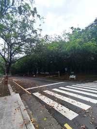 A Walk Down "Meteor Garden" Lane - Ying De University (NCCU, Chiayi)