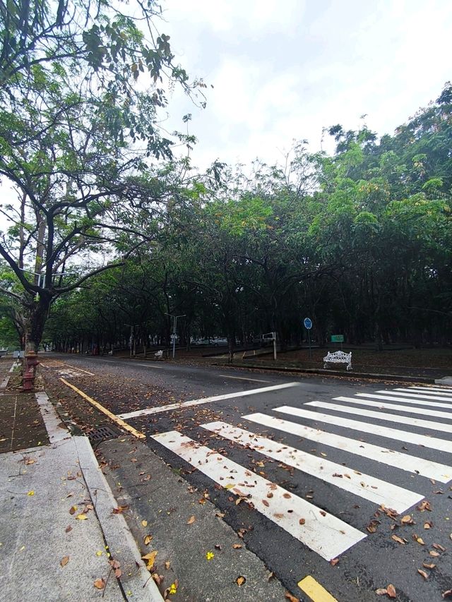 A Walk Down "Meteor Garden" Lane - Ying De University (NCCU, Chiayi)