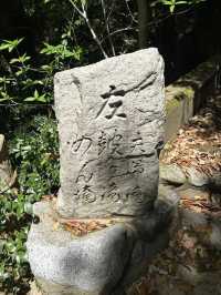 【天滝】まさに“天から落ちる滝”！自然の神秘に包まれる絶景ハイキング旅🌿🌈
