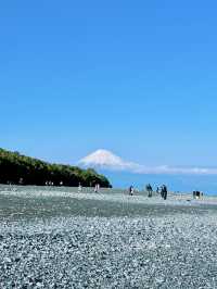 🌊這裡同時看到富士山＋聽見海浪聲！三保之松原秘境大公開⛰️