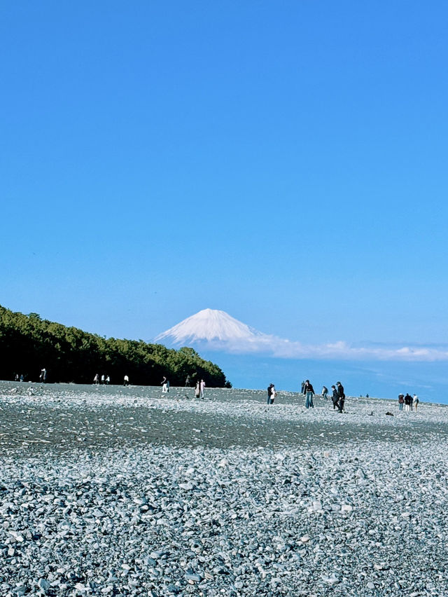 🌊這裡同時看到富士山＋聽見海浪聲！三保之松原秘境大公開⛰️