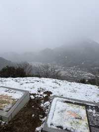 津和野城跡（需搭纜車）
