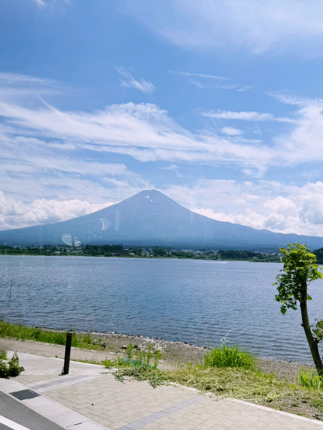 #trip富士山一日團