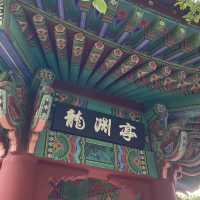 Summer Serenity at Yong Yeonjeong Garden