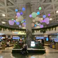 Island Vibes Already Begin at Jeju International Airport