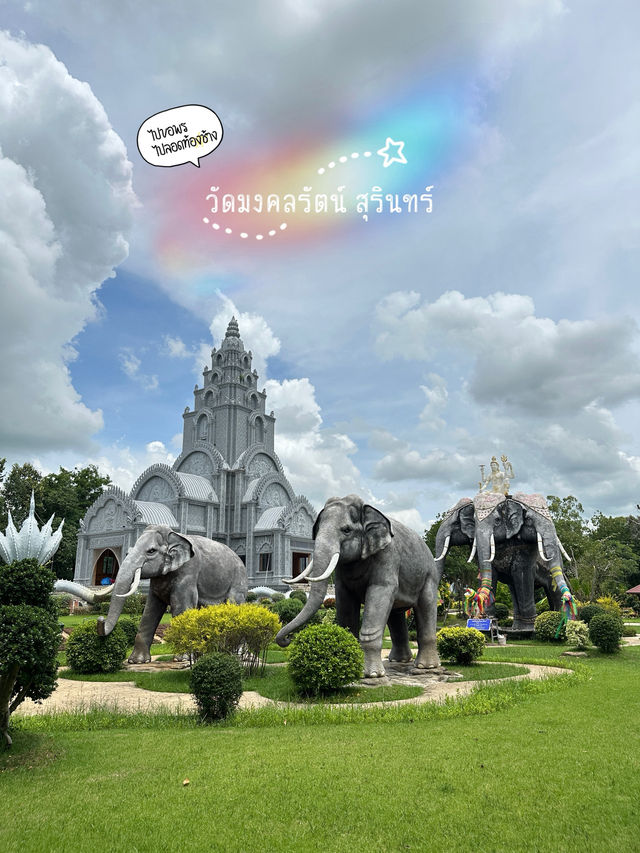 ไหว้พระ ลอดท้องช้าง •วัดมงคลรัตน์ สุรินทร์•