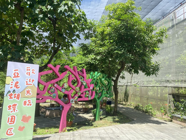 亞泥生態園區  🦋 蝴蝶翩舞 