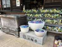 法輪寺花手水 東京新宿市區景點