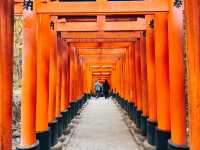 @ FUSHIMI INARI TAISHA IN KYOTO.