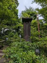 Nezu Museum: Tokyo’s Hidden Garden of Art