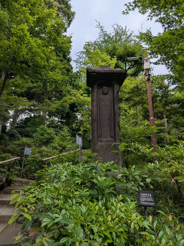 Nezu Museum: Tokyo’s Hidden Garden of Art