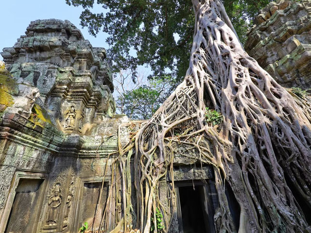 🇰🇭 Summer Escape to Cambodia | Angkor Wat & Lost Kingdom Vibes
