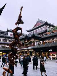 Dian Chuntang: A Peaceful Teahouse in the Heart of Shanghai