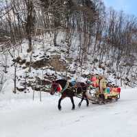 Snow valley china เสวียกู่ ลานกิจกรรม 200 หยวน