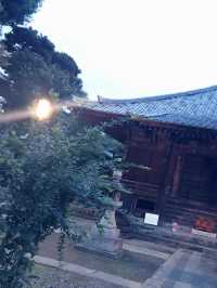 【東京　護国寺、音羽　夕暮れの風に吹かれて講談社と護国寺をジョグ散歩】