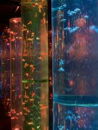 Art Aquarium Museum Ginza