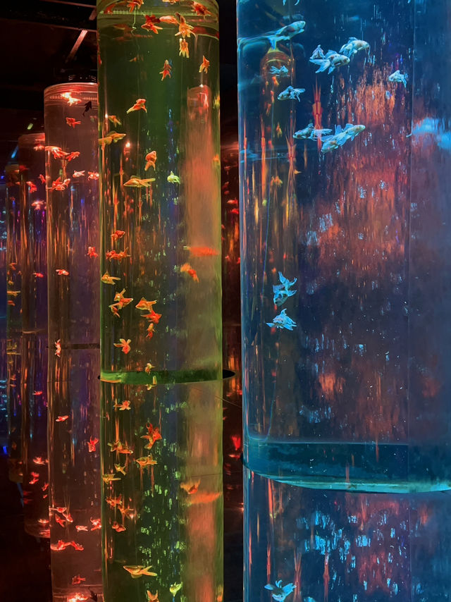 Art Aquarium Museum Ginza
