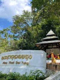 🌄 พระธาตุดอยตุง | ศรัทธาบนยอดดอย