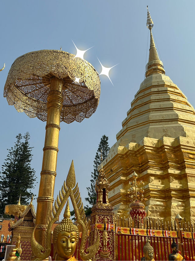พาขึ้นดอยไปตามรอยสายมู @ดอยสุเทพ ⛰️🏯