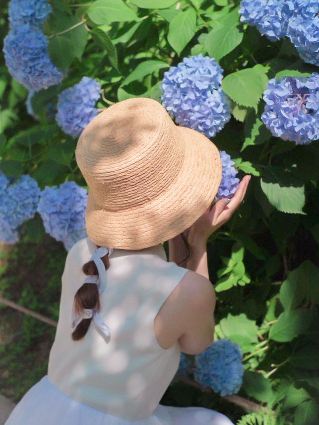 【京都】夏の大原・旅プラン🌿🫧