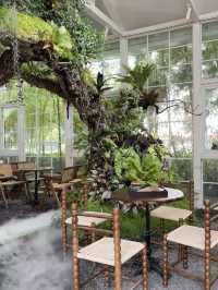 Sanqing Academy คาเฟ่เฉิงตูที่เหมือนอยู่ไทย🌸